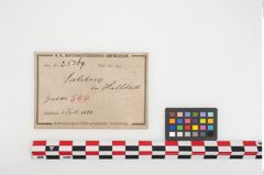 Etikett zu Bronzelappenbeil (NHMW-PRAE-025369)
